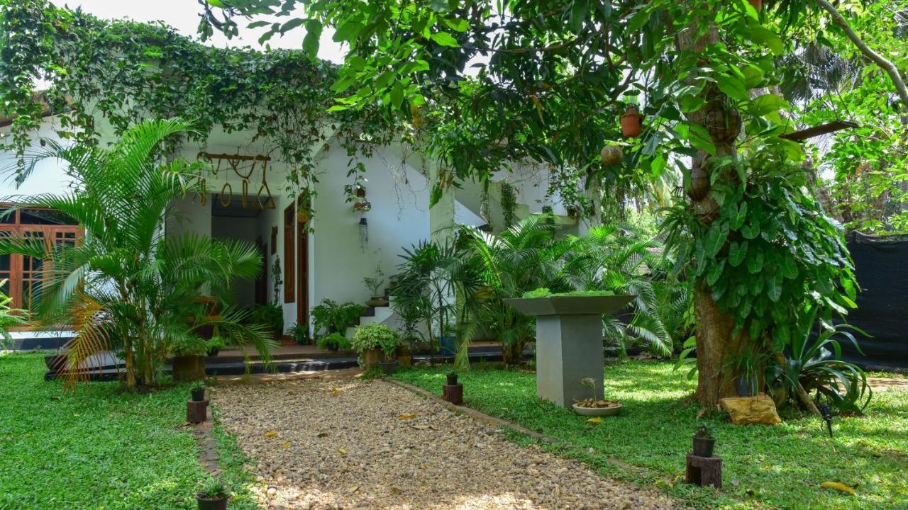 Menara Green Inn Дамбулла Экстерьер фото